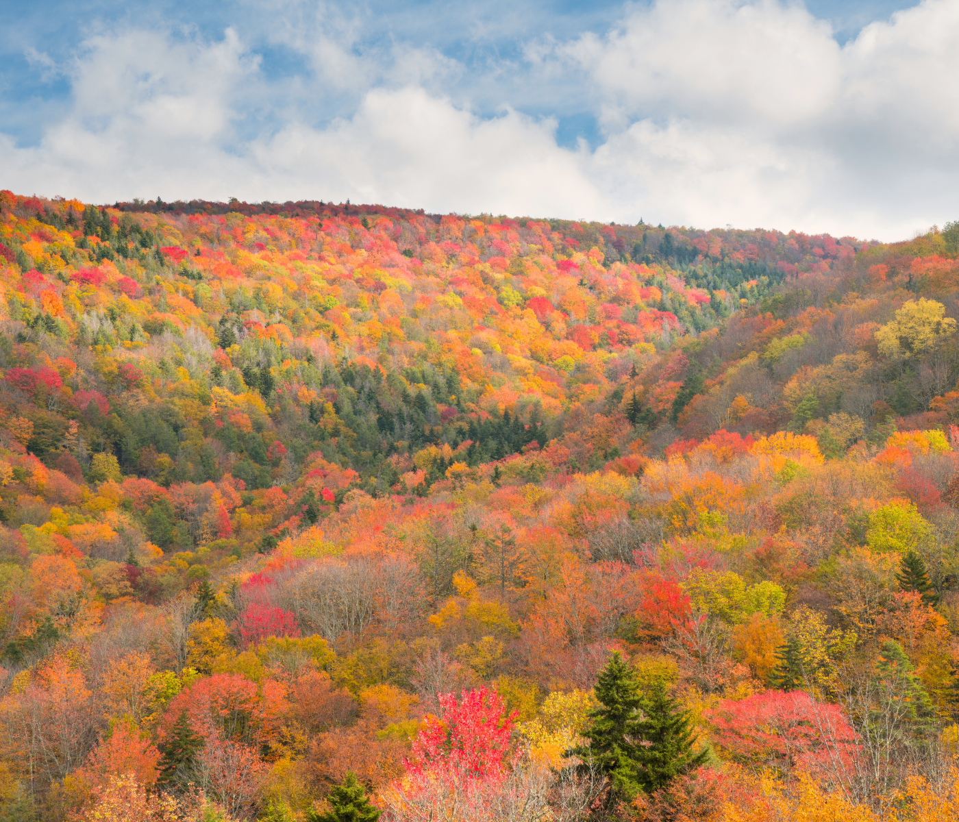 Harmony Health West Virginia